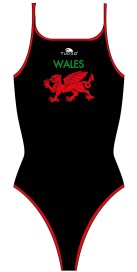 Wales Dragon